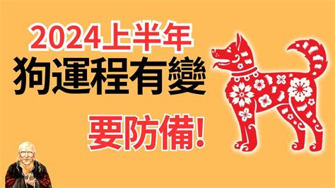 1970屬狗一生運勢|1970属狗人2024年全年运势详解 1970年属狗人2024年运势及每月。